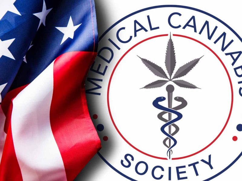 The Medical Cannabis Society